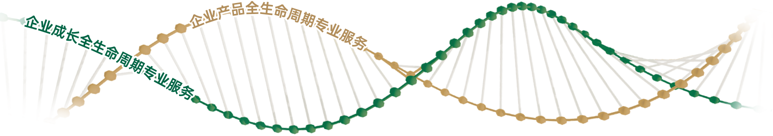 全生命周期服务体系