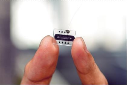 Fingernail-sized chip unraveling "secret" of gene, Geneus Technology wins RMB 2 million special fund support from the Science & Technology Department of Sichuan Province 