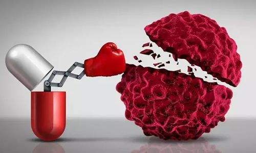 Company in Tianfu Life Science Park Develops a “100-billion-level” Antibody Library That Can Accurately Kill Tumor Antigens